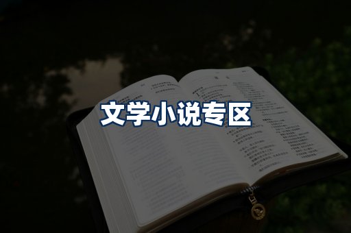文学小说PDF展示